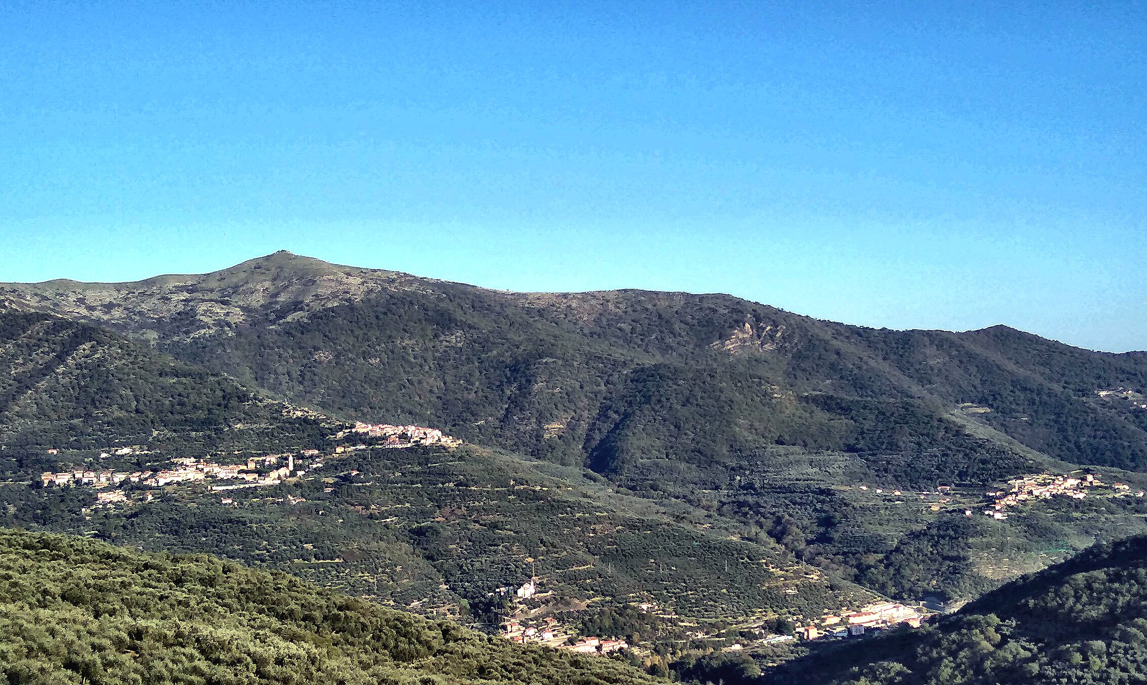 panorama